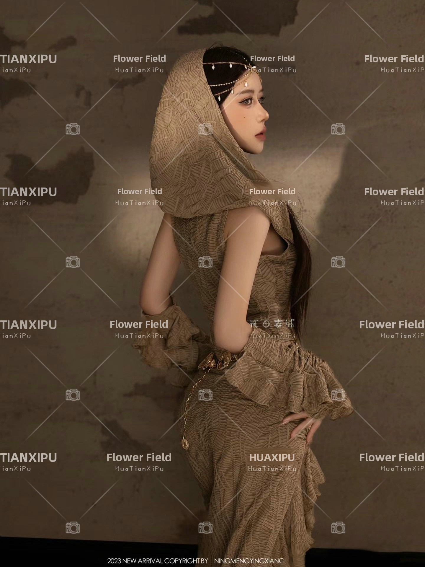 New Desert  Princess Style Pho - Photography Lighting Style review and price