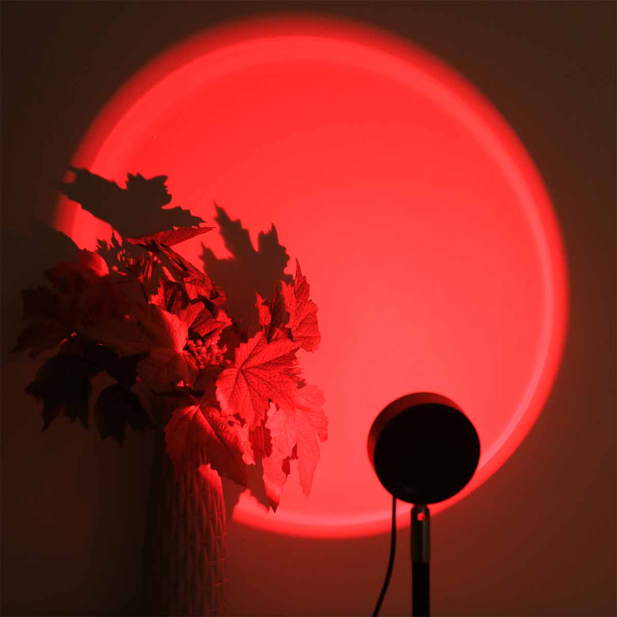 Sunset Projection Light Remote - Photography Lighting Setup review and price
