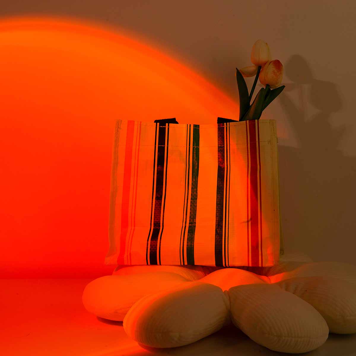 Sunset Projection Light Remote - Photography Lighting Setup review and price